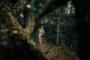 BIB: 
                            <button type="button" onclick="openModal(25667643)" class="btn btn-primary btn-sm float-right btn-popup" data-toggle="modal" data-target=".modal-high-quality">
                        <i class="fas fa-shopping-cart"></i> Add to Cart
                    </button>
                                            <button type="button" onclick="isThisMe(25667643, true)" class="btn btn-success btn-sm float-right btn-popup btn-isme hidden" data-toggle="tooltip" data-placement="bottom" title="นี่คือรูปของคุณใช่ไหม คลิกที่นี่เพื่อเอาเข้าอัลบั้ม">
                        <i class="fas fa-plus"></i> Add to album
                    </button>
                    <button type="button" onclick="isThisMe(25667643, false)" class="btn btn-warning btn-sm float-right btn-popup btn-isnotme hidden">
                        <i class="fas fa-ban"></i> Remove from album
                    </button>